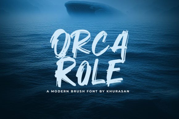 Orca Role: The Perfect Font for Small Business Branding